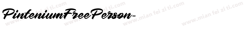 PinteniumFreePerson字体转换