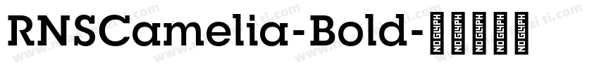 RNSCamelia-Bold字体转换