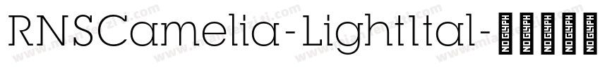 RNSCamelia-LightItal字体转换