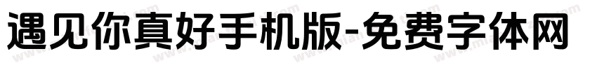 遇见你真好手机版字体转换