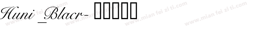 Huni_Blacr字体转换