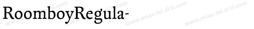 RoomboyRegula字体转换
