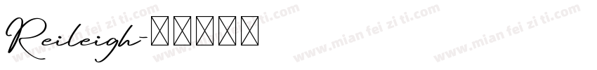 Reileigh字体转换