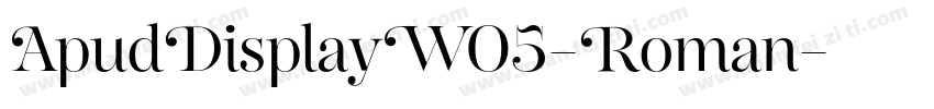 ApudDisplayW05-Roman字体转换