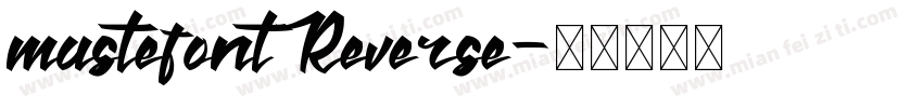 mastefontReverse字体转换