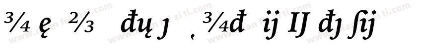 IowanOldStyleBT-ItalicExtension字体转换