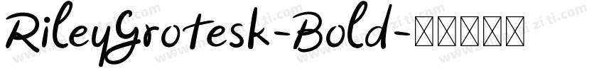 RileyGrotesk-Bold字体转换