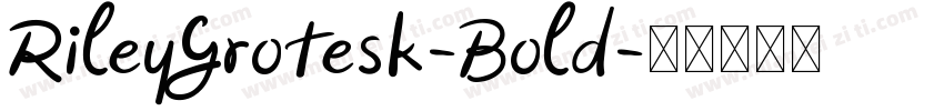 RileyGrotesk-Bold字体转换