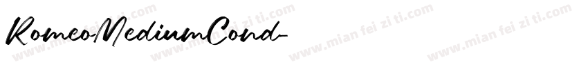 RomeoMediumCond字体转换
