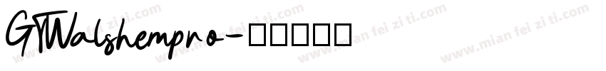 GTWalshempro字体转换