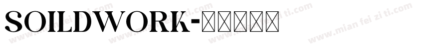 soildwork字体转换