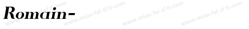Romain字体转换