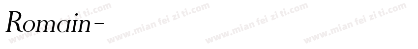 Romain字体转换