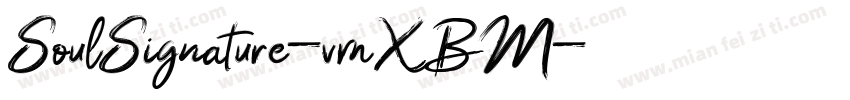SoulSignature-vmXBM字体转换