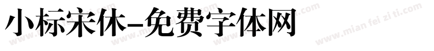 小标宋休字体转换