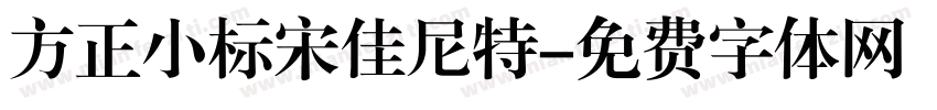 方正小标宋佳尼特字体转换