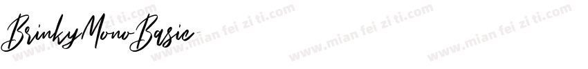 BrinkyMonoBasic字体转换
