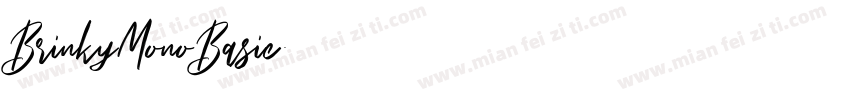BrinkyMonoBasic字体转换