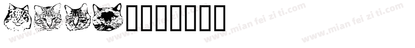 AITE猫字体转换