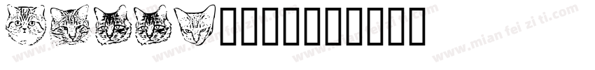 Kitty猫字体。字体转换