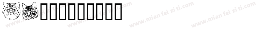 kt猫字体字体转换