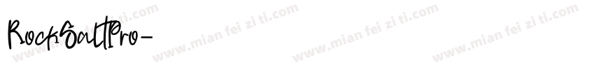 RockSaltPro字体转换