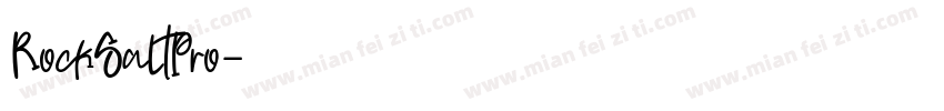RockSaltPro字体转换
