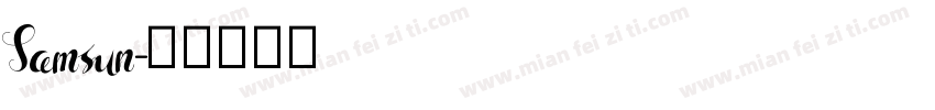 Samsun字体转换