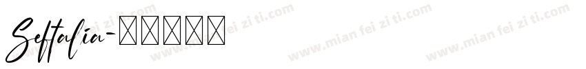 Seftalia字体转换