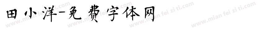 田小洋字体转换