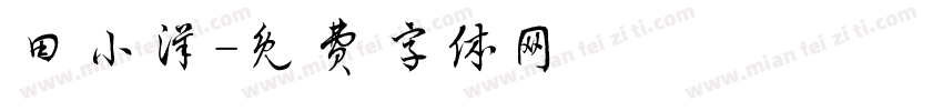 田小洋字体转换
