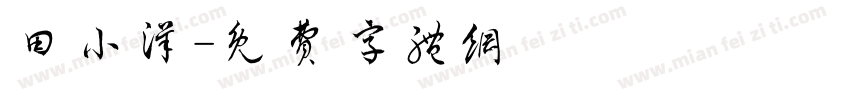田小洋字体转换