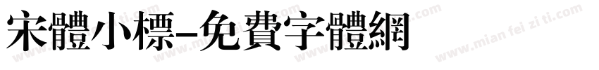 宋体小标字体转换