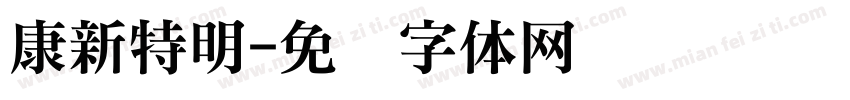 康新特明字体转换