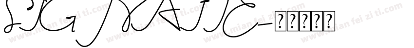 SIGNAITE字体转换