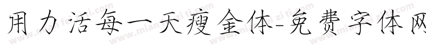 用力活每一天瘦金体字体转换