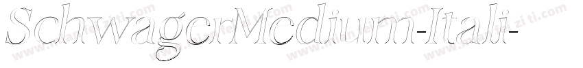 SchwagerMedium-Itali字体转换