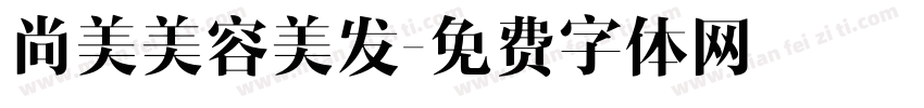 尚美美容美发字体转换