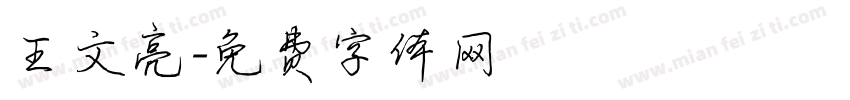 王文亮字体转换