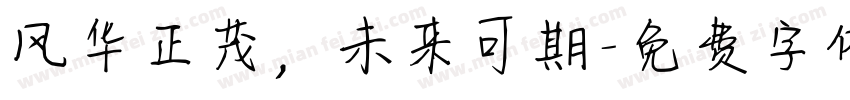 风华正茂，未来可期字体转换