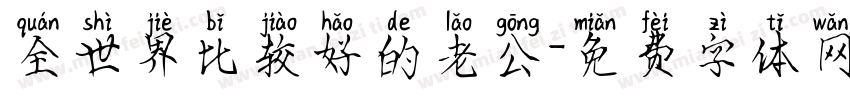 全世界比较好的老公字体转换