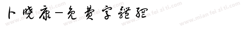 卜晓康字体转换