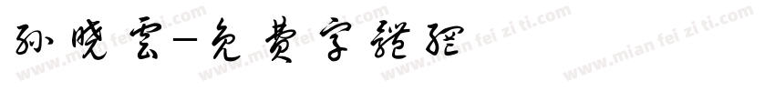 孙晓云字体转换