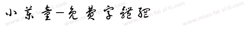 小药童字体转换