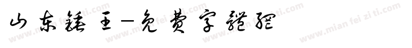 山东锤王字体转换