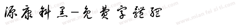 源康斜黑字体转换