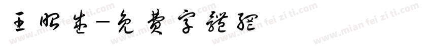 王昭盛字体转换