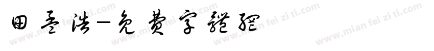 田孟浩字体转换