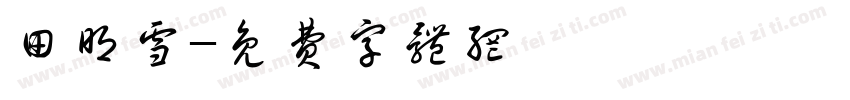 田明雪字体转换