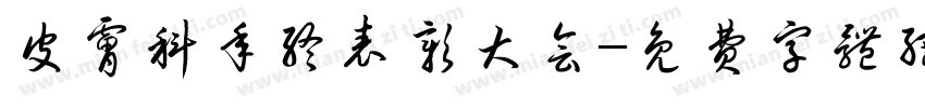 皮肤科年终表彰大会字体转换